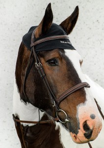 2043_Horse-Neck-Cap-detail