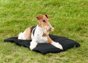 3011_Dog-Blanket-Foxterrier