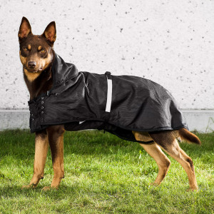 3250+3255_Dog Rain-Rug-kelpie